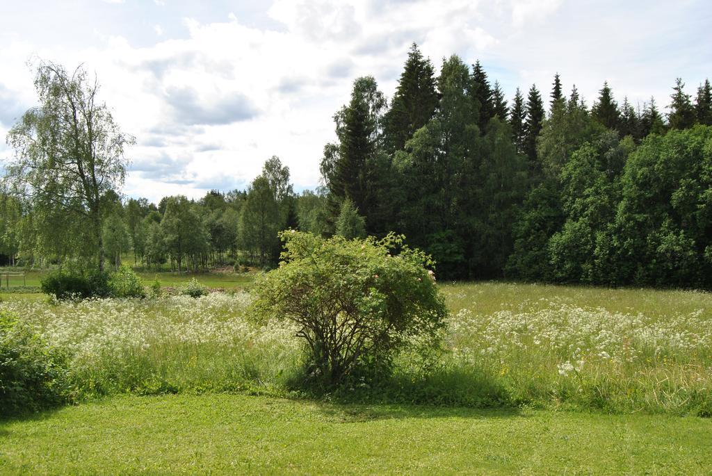 Orsastuguthyrning-Oljonsbyn Vila Exterior foto